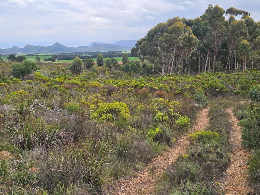 2 Bedroom Property for Sale in Baardskeerdersbos Western Cape